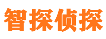 大足外遇调查取证